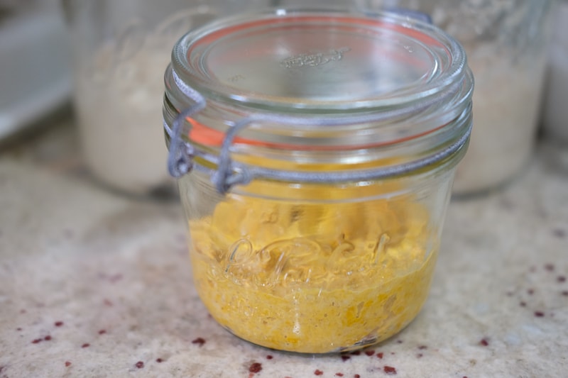 ターメリック酵母仕込み