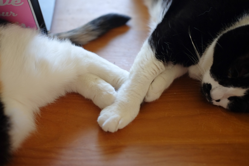 仕事しなくていい人たち