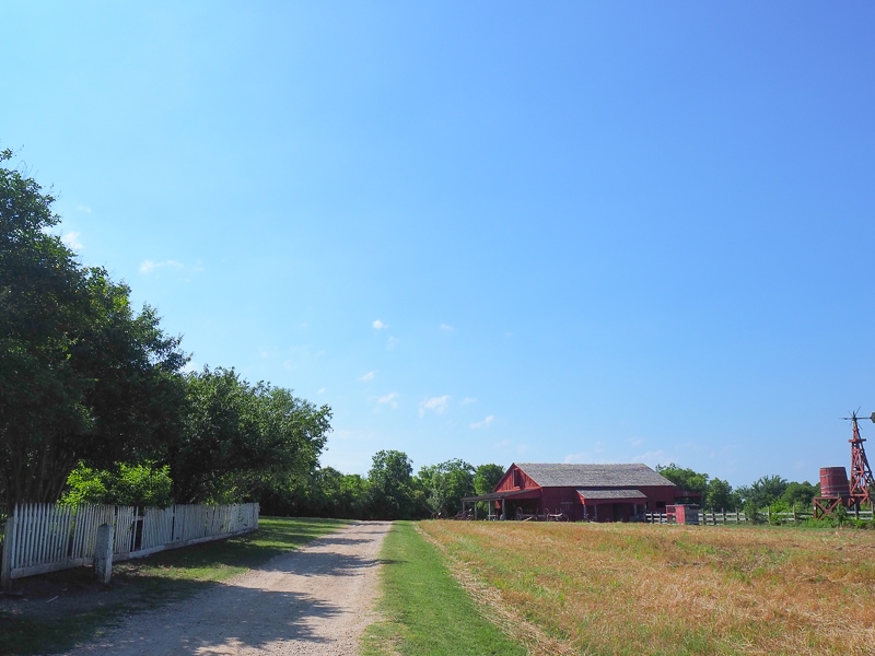 ファームをお散歩