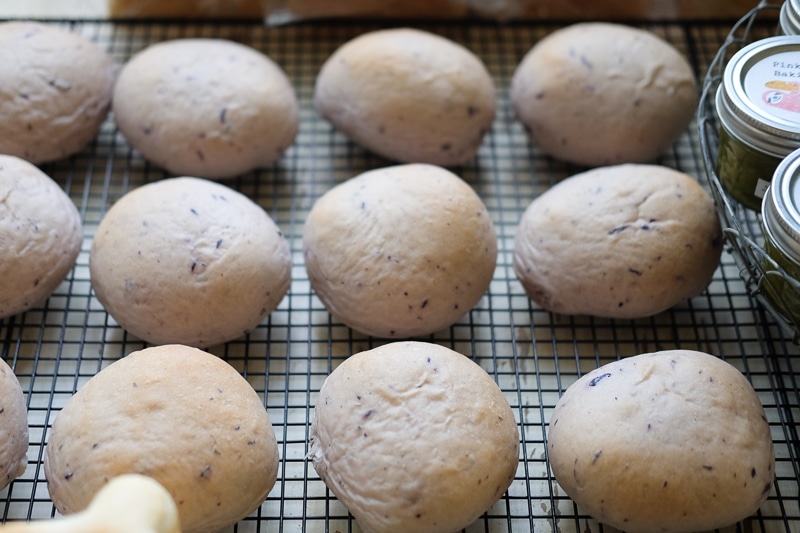 ブルーベリーチーズケーキパン