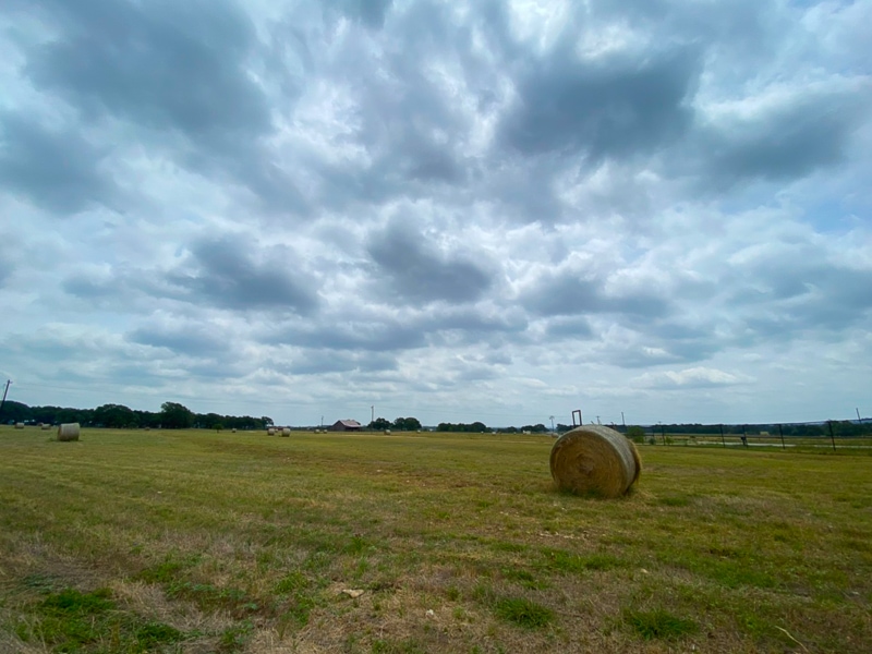 周りはファーム