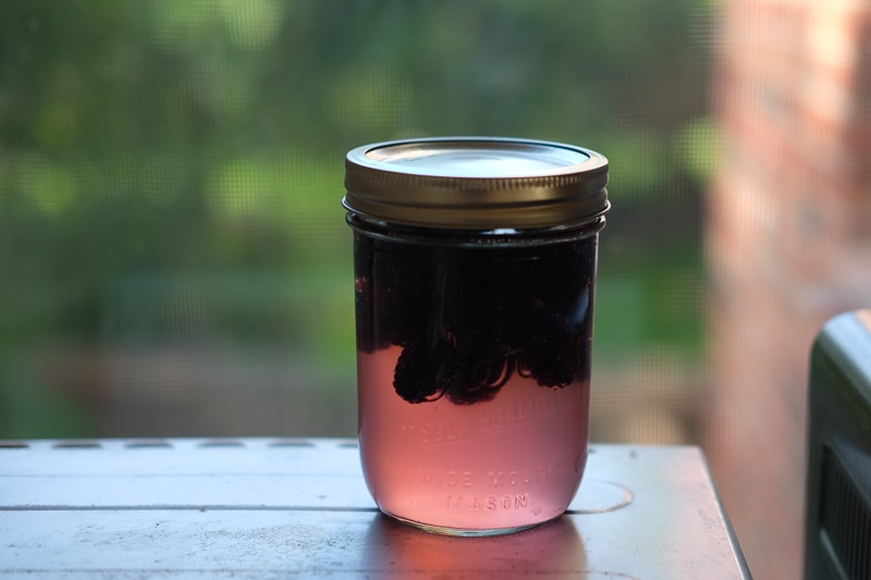 ブラックベリー酵母仕込み