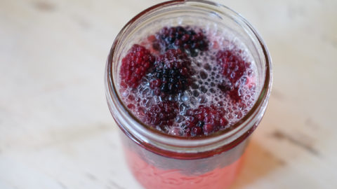 元気な酵母ができました