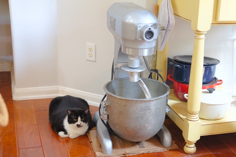 Hobartのミキサー