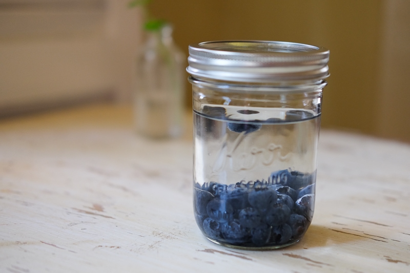 ブルーベリー酵母