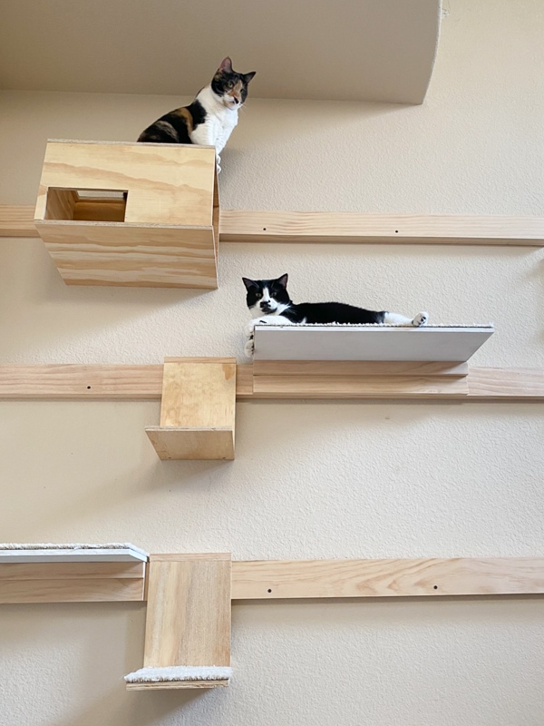 遊んでくれるかなー