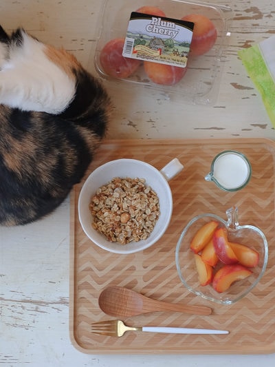 ハワイのグラノーラとプラムチェリー