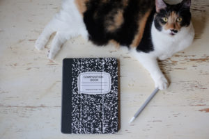 ノートじゃないよ