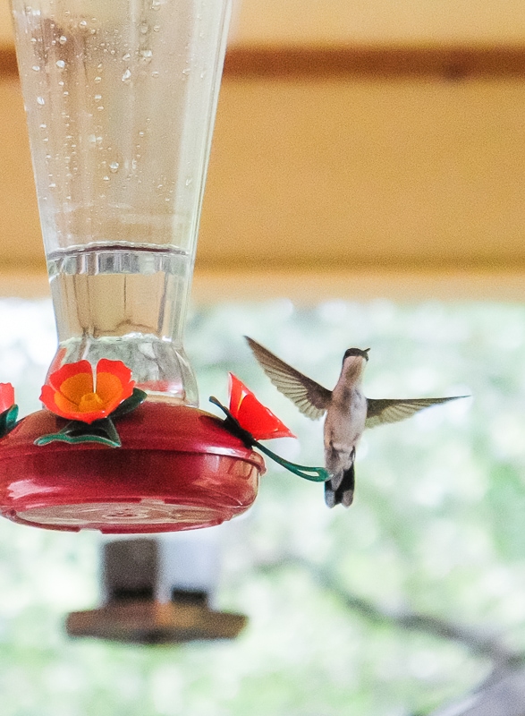 めっちゃかわいい❤