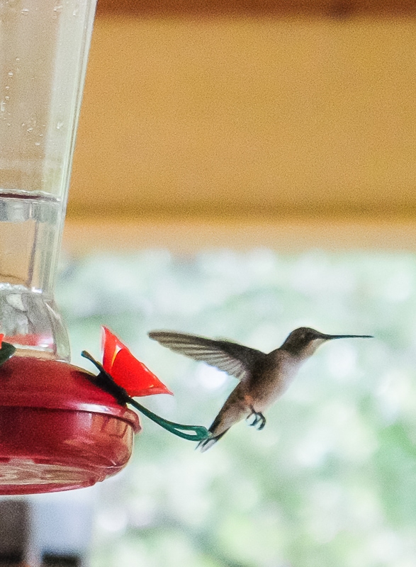 カメラマンはオット