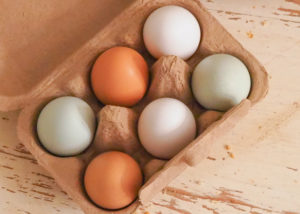 小さくてかわいい