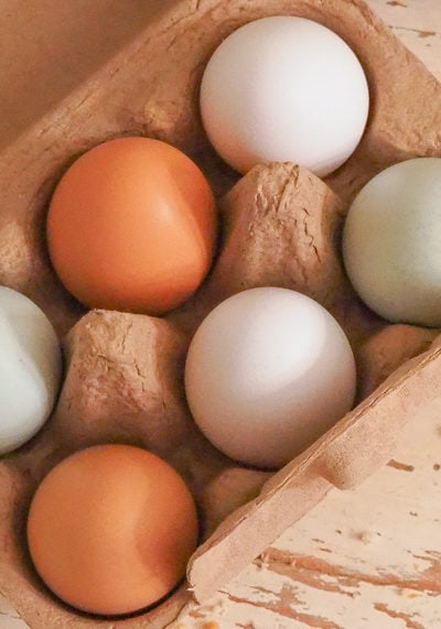 小さくてかわいい