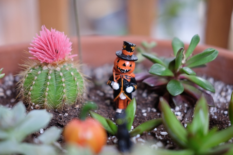 パンプキンマン