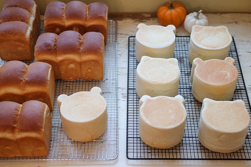 くま＆ねこ＆山食