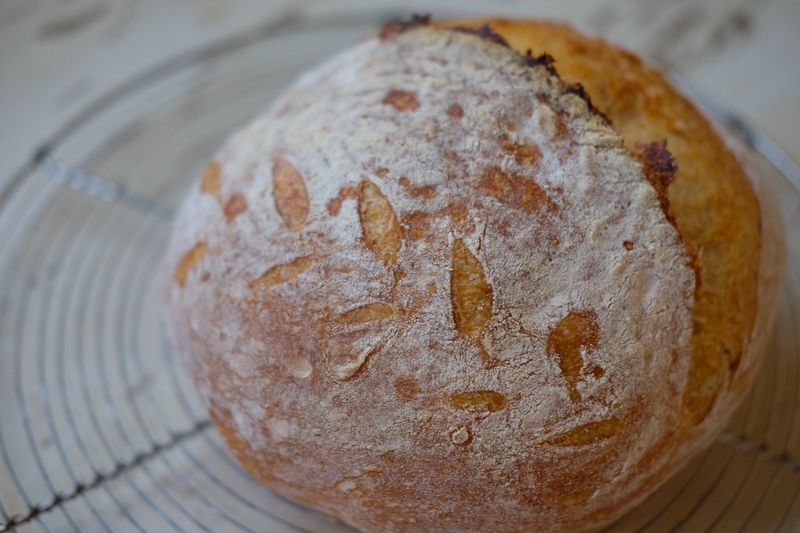 控えめクープアート