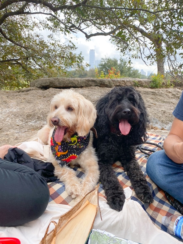 僕たちにもください