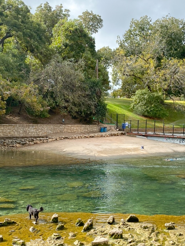 バートンスプリングス