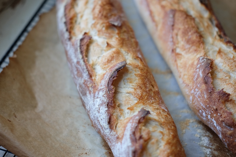 かろうじてわかる、クープの残骸