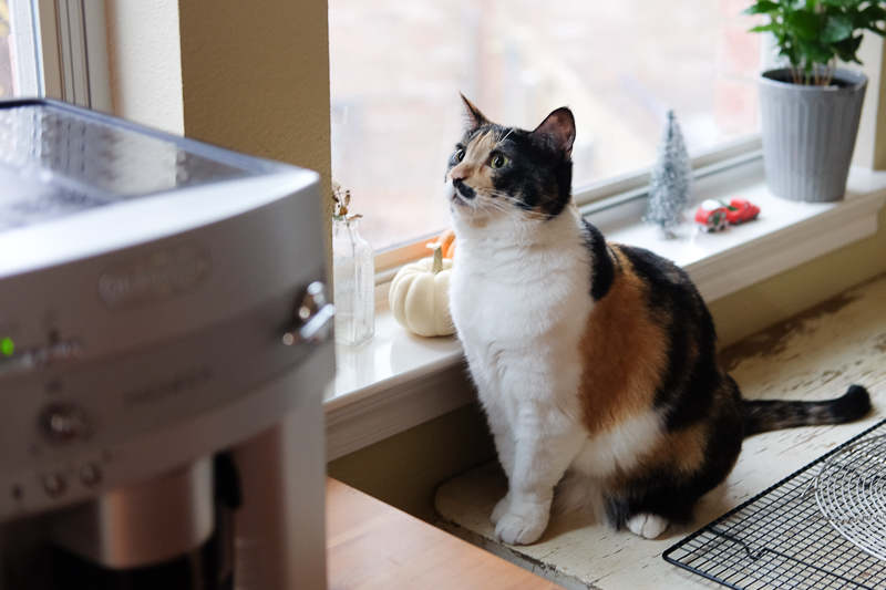 興味津々ゆずさん