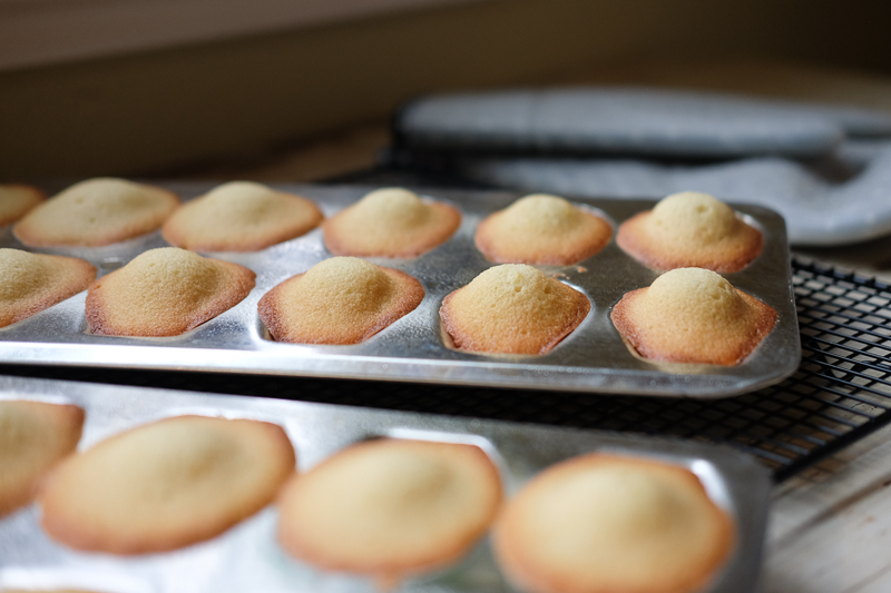 おへそができた♪