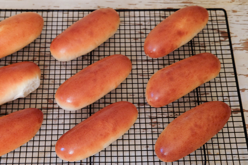 ホットドッグバンズ