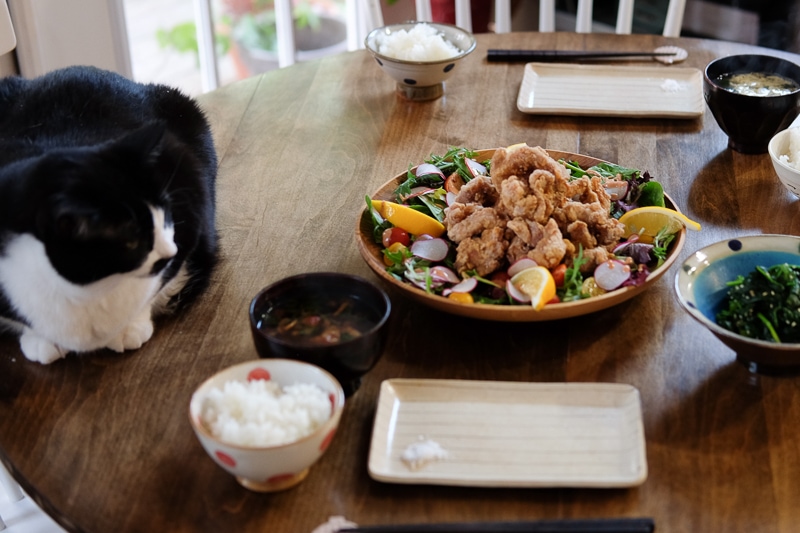 あんこちゃんも参加