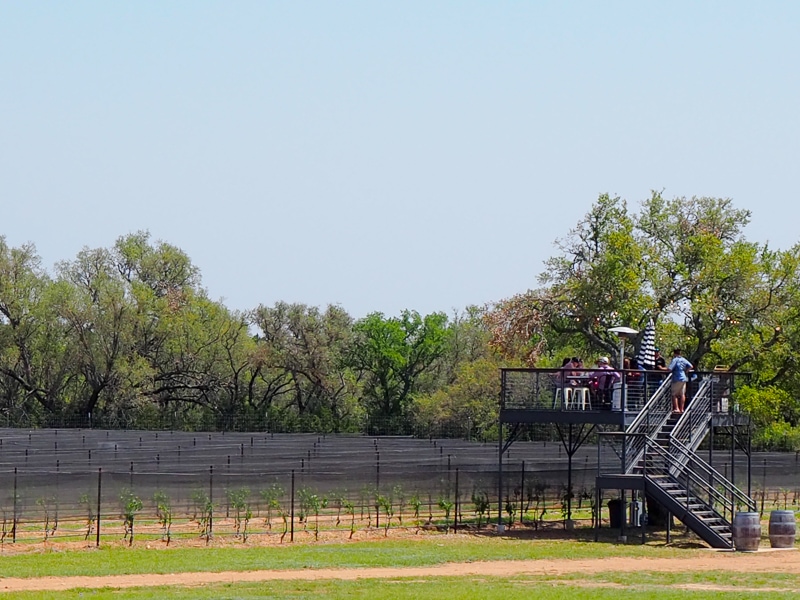 やっぱりここ！
