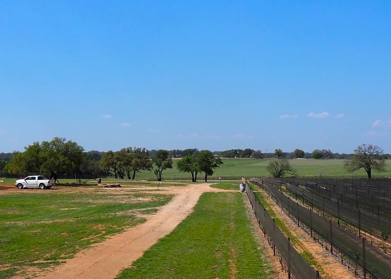 どこまでもひろーい