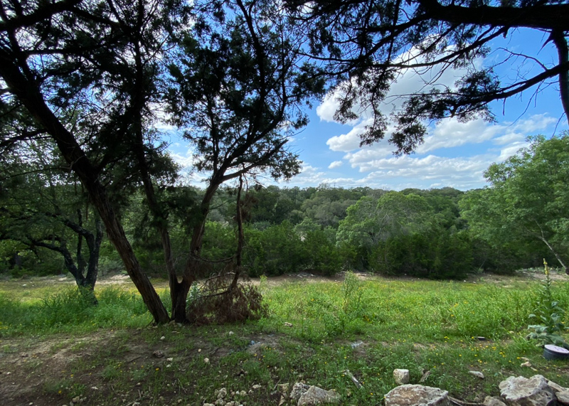どこかにいるはず