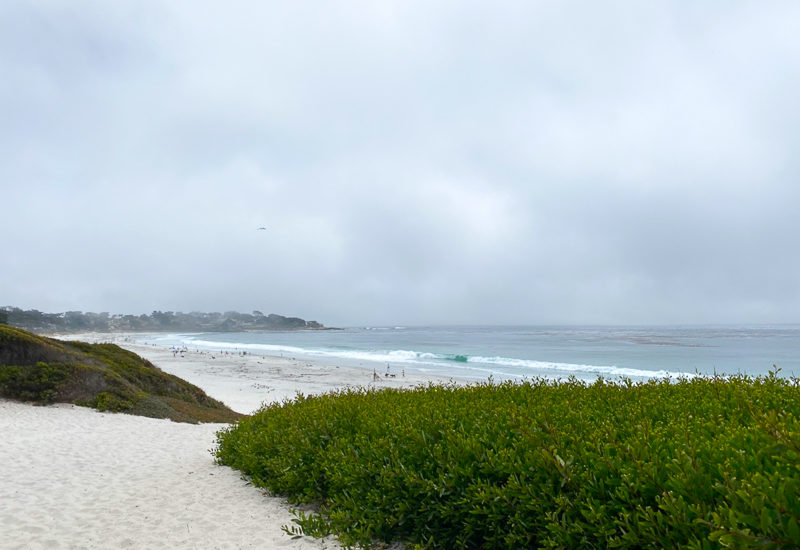 カーメルのビーチ