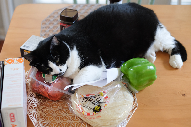 トルティーヤのおふとん