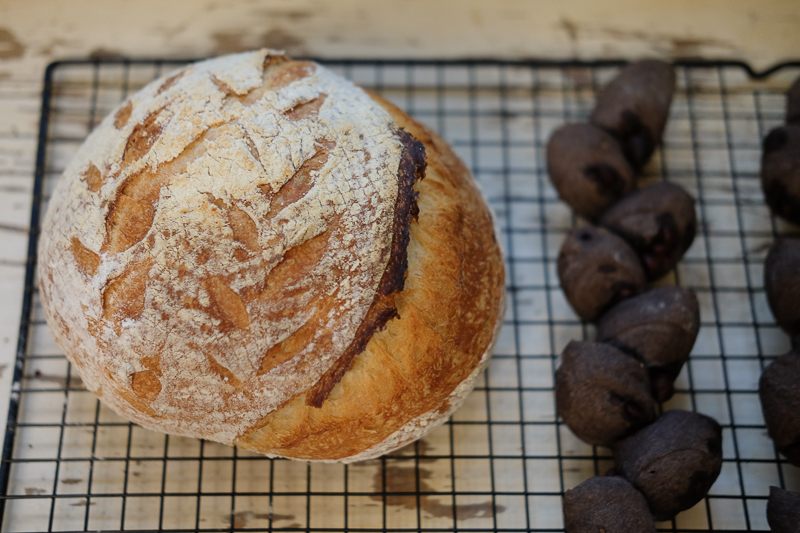 カンパーニュ１