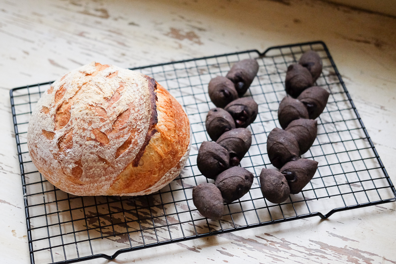 カンパーニュ２