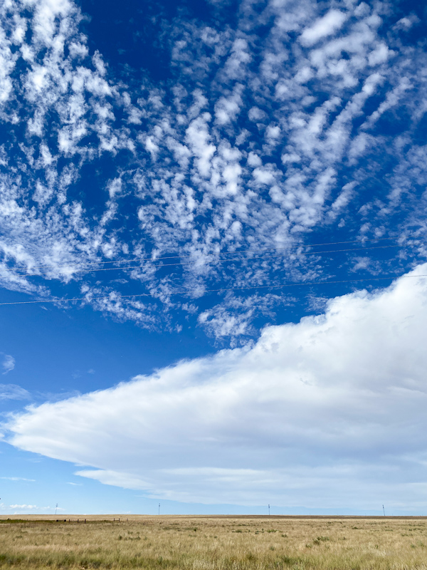 ロードトリップ