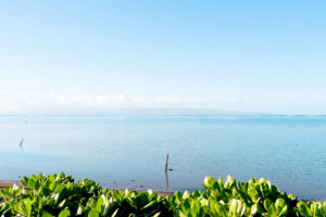 モロカイ島のミラクル