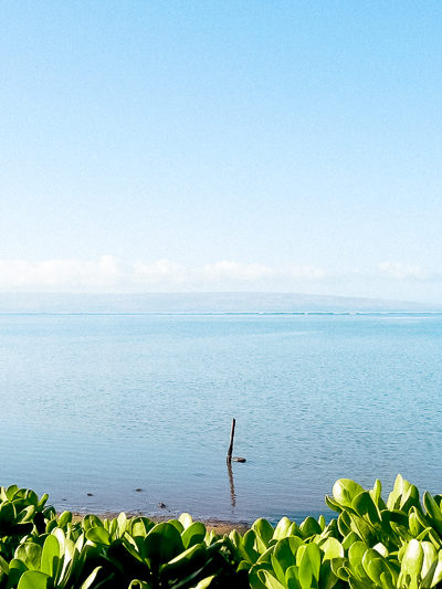 モロカイ島のミラクル